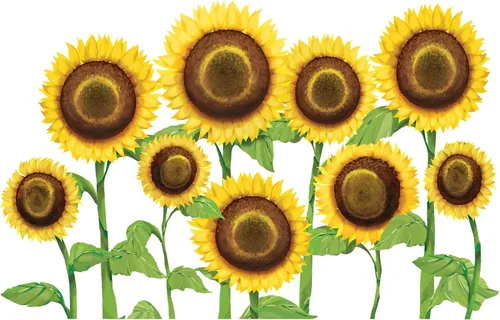 Miniatura 2 de Tervis Vaso de plástico con diseño de girasoles con envoltura y tapa amarilla, 16 onzas, transparente