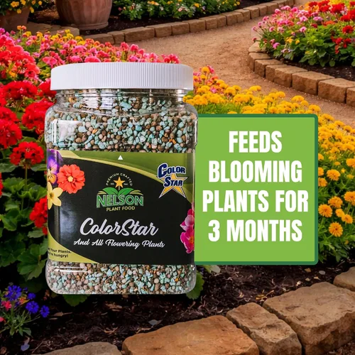 Miniatura 3 de Nelson Plant Food s ColorStar Fertilizante para plantas de interior y exterior – Alimento vegetal denso en nutrientes para aumentar
