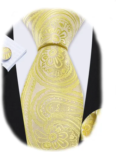 Miniatura 18 de Barry.Wang - Juego de corbata de seda para hombre, diseño de cachemira, pañuelo y gemelos de bolsillo