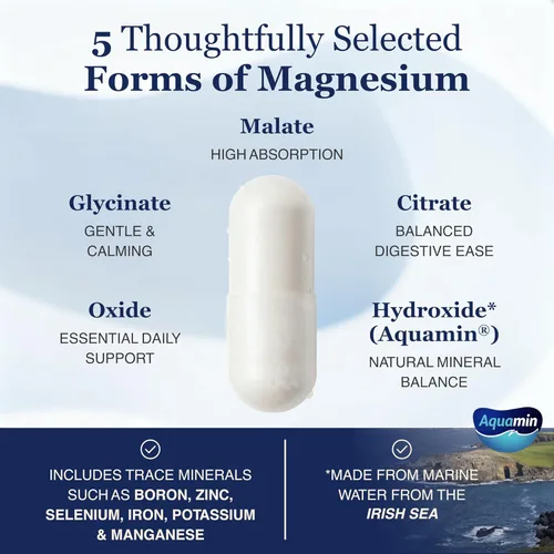Miniatura 4 de Spectrum 5 Complejo de magnesio para mujeres y hombres – 5 suplementos de complejo de magnesio con glicinato, malato, citrato e hidróxido