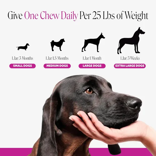 Miniatura 5 de Suplemento multivitamínico para perros, glucosamina condroitina para perros, probióticos, aceite de pescado Omega, suplementos y vitaminas