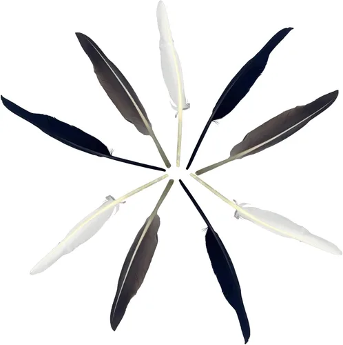 Miniatura 4 de LWINGFLYER 25 plumas de ganso de 10 a 12 pulgadas de largo para bolígrafos, manualidades, festivales, Halloween, sombreros, decoraciones de Natural