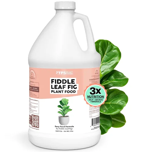 Miniatura 7 de Fiddle Leaf Fig Plant Food – Fertilizante líquido para hojas más grandes, raíces más fuertes y un nuevo crecimiento saludable, 8 onzas