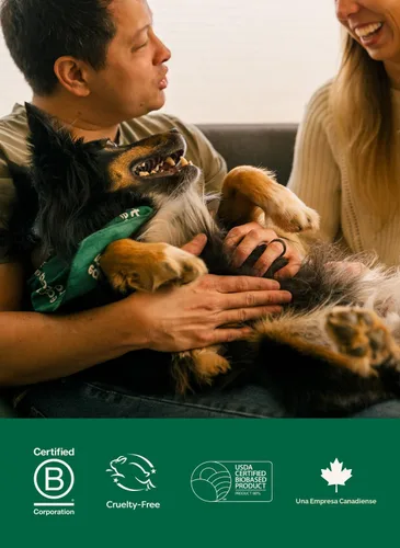Miniatura 8 de Earth Rated XL - Toallitas para mascotas para perros y gatos, limpieza hipoalergénica y sin perfume de 3 en 1, desodorizante e hidratante extra