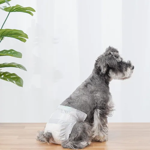Miniatura 6 de Pañales para perros hembra, 30 pañales desechables para perros de diferentes tamaños, absorbentes con indicador de humedad (XS)