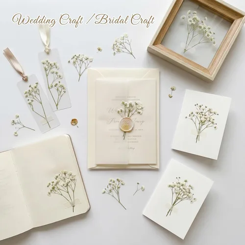 Miniatura 6 de 48 mini flores naturales secas prensadas para el aliento del bebé para decoración de pasteles, invitaciones de boda, flor de gypsophila seca real