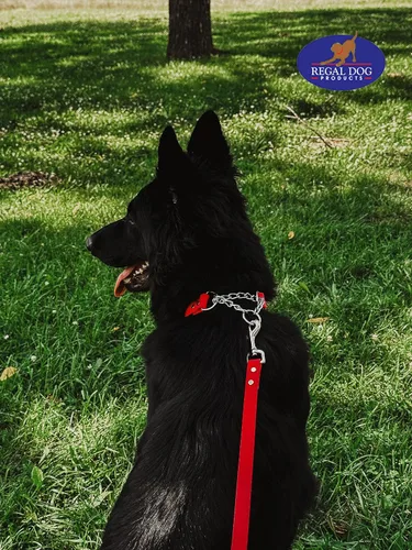 Miniatura 3 de Regal Dog Products Collar Martingale para perros – Collar impermeable de bioano para perros pequeños, medianos y grandes – Cadena resistente