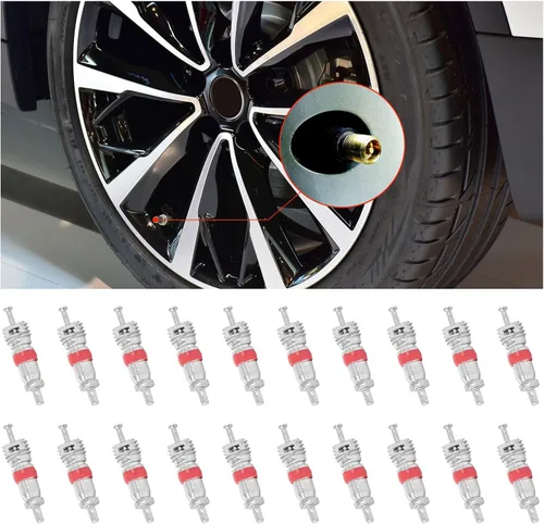 Ziciner 20 tapas universales para válvula de neumático de coche, niqueladas, rojas y plateadas, de aleación de zinc 20 Pcs