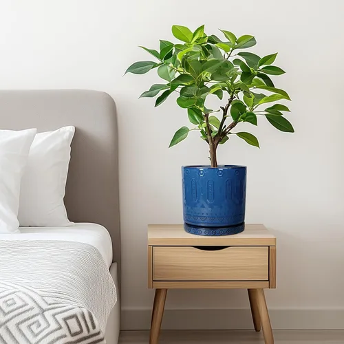 Miniatura 9 de Eightpot Maceta de cerámica de 6 pulgadas para plantas de exterior, maceta de interior con agujeros de drenaje y platillo para suculentas, maceta