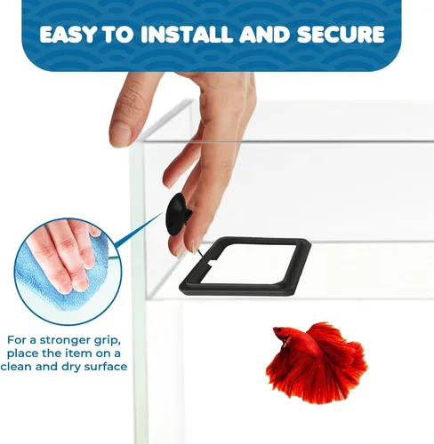 Miniatura 5 de SunGrow Anillo de alimentación de alimentos para peces, evita que las turbulencias del agua laven alimentos y plantas flotantes en el filtro