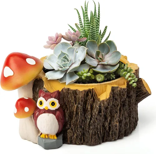 Miniatura 7 de Macetas para Suculentas con Forma de Erizo con Orificio de Drenaje, Macetas para Plantas de Interior/Cactus/Suculentas, Maceta de Interior Regalo