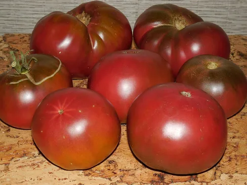 Miniatura 2 de Semillas Tomate Príncipe Negro Gigante Heirloom Vegetal Sin OMG