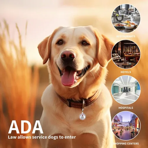 Miniatura 4 de Etiqueta de perro de apoyo emocional, etiqueta de identificación de metal para mascotas, etiqueta ESA, símbolo de alerta médica roja de doble cara