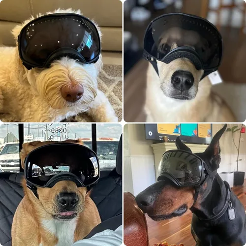 Miniatura 7 de Gafas de sol para perros de razas grandes, lentes de sol para perros de raza mediana y grande, visión amplia, protección para los ojos de mascotas
