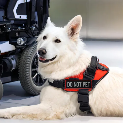 Miniatura 7 de Juego de 2 parches reflectantes "Do Not Pet" con cierre de velcro, borde bordado con letras impresas para arnés de chaleco para perro