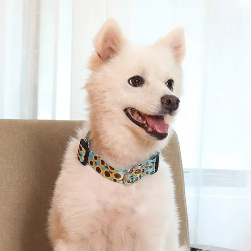 Miniatura 2 de Juego de 2 collares de girasol para perro y correa floral para cachorros, collares ajustables para perros pequeños, medianos y grandes, niños