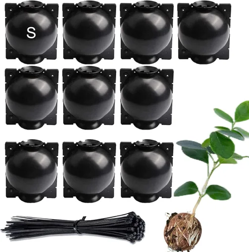 Caja de cultivo de raíces de árbol: cápsulas de propagación de capas de aire para plantas leñosas, dispositivo de enraizamiento transparente