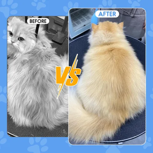 Miniatura 4 de 2 piezas de peines antipulgas para perros y gatos, peine multifuncional mejorado para mascotas, peine antipulgas para eliminación de pelo, cepillo