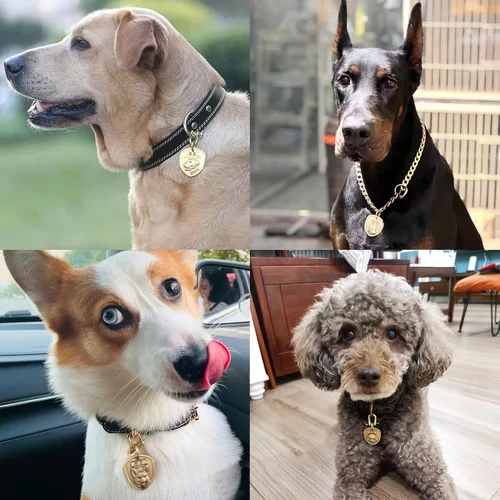Miniatura 3 de Etiquetas para Perros Golden Retriever Personalizadas para Mascotas Etiqueta de Identificación de Nombre de Perro Grabada Personalizada de Cobre 023