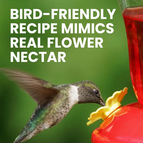 Miniatura 2 de Perky-Pet Concentrado instantáneo de néctar en polvo de colibrí, bolsa de 2 libras, 244SFB, hace 192 onzas de néctar de alimentos líquidos