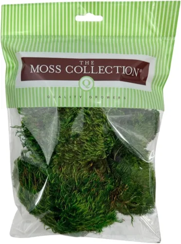 Miniatura 12 de Musgo de hoja preservado - Musgo decorativo natural - Musgo seco para manualidades, decoración del hogar, proyectos de arte, diseño y bricolaje - No