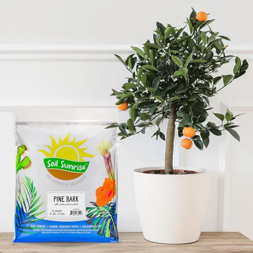 Miniatura 2 de Soil Sunrise Pepitas de mantillo de corteza de pino 100% natural (12 cuartos de galón) pequeñas astillas para jardinería en contenedores