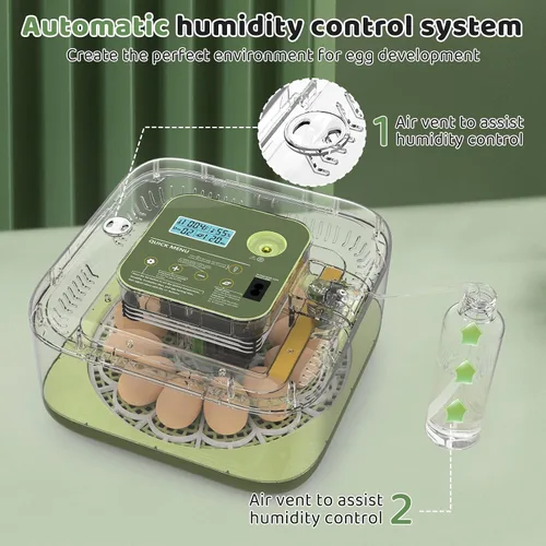 Miniatura 6 de Incubadoras para incubar huevos de 12 huevos, incubadora digital de huevos de precisión, control automático de humedad de temperatura de 6
