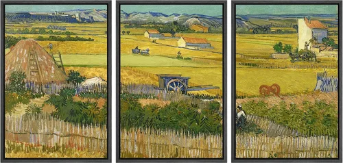 Miniatura 105 de Lienzo decorativo para pared - cuadro con estampado Giclée para decoración del hogar Noche estrellada sobre el Ródano