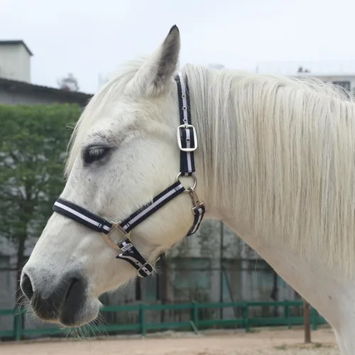 Miniatura 4 de Cabestros ajustables para caballos, correas y accesorios de nailon resistente, acolchados con espuma antirozaduras acolchada en la corona y la nariz
