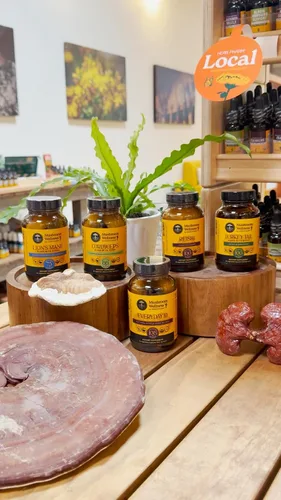 Miniatura 15 de Mushroom Wellness Everyday 10: Cápsulas orgánicas de hongos 10 en 1 con melena de león, shiitake, reishi, cola de pavo y más, suplemento en polvo