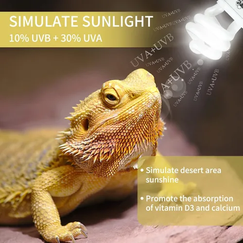 Miniatura 5 de LUCKY HERP Paquete de 2 luces UVA UVB para reptiles, 15 W 10.0 UVB para reptiles del desierto, lámpara fluorescente compacta de terrario, bombilla