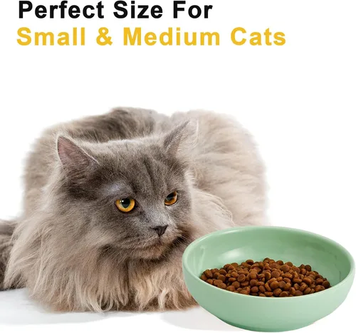Miniatura 5 de Howise - Juego de cuencos de cerámica para gatos de 5.3 pulgadas, cuenco de comida poco profundo para mascotas pequeñas, plato para comida y agua