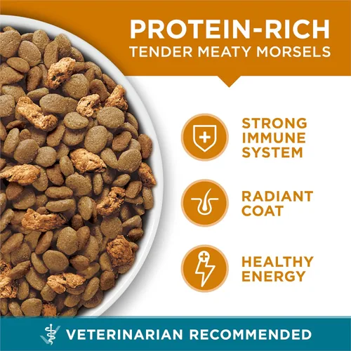 Miniatura 8 de Purina ONE Alimento seco natural para gatos, mezcla con pollo real, bolsa de 22 libras