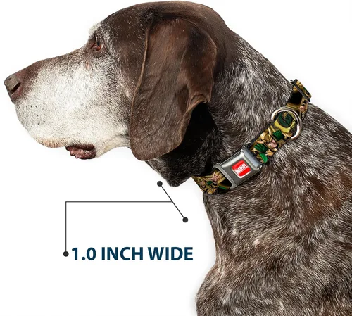 Miniatura 6 de Collar de perro hebilla de cinturón de seguridad Loki Poses Negro Oro Verde 9 a 15 pulgadas 1.0 pulgadas de ancho