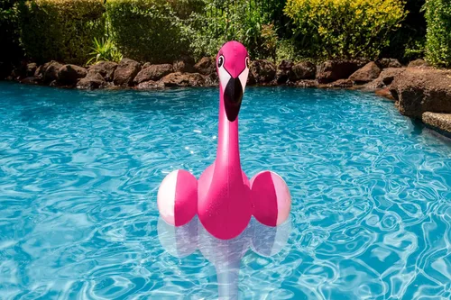 Miniatura 7 de Poolmaster 81445 - Decoración flotante para piscina, diseño de delfín bebé, grande