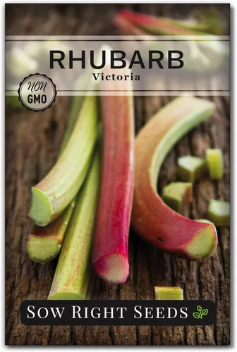 Sow Right Seeds - Semillas de ruibarbo Victoria para plantar - Paquete de reliquia sin OMG con instrucciones para plantar un huerto en el hogar al