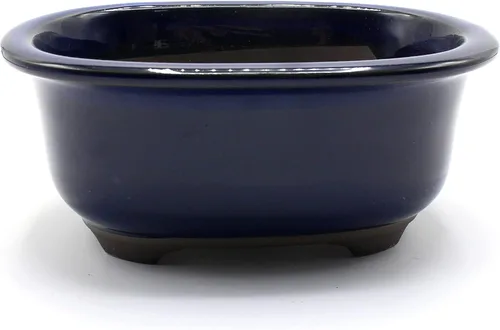 Miniatura 4 de Bonsai Pot de cerámica Seto-Yaki forma ovalada esmaltada con borde (6.5 pulgadas, Kinyo-Yu)