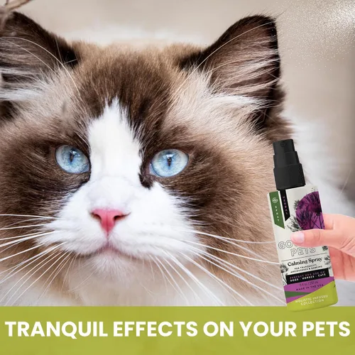 Miniatura 4 de Aerosol calmante holístico natural derivado para la ansiedad para mascotas: proporciona alivio del estrés: recomendado por veterinarios, fabricado