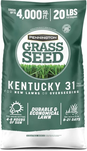 Miniatura 15 de Pennington Kentucky 31 Semilla de Césped Festuca Alta Penkoted 7 lb