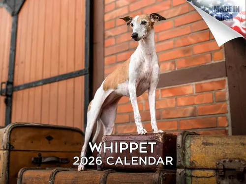 Miniatura 36 de Calendario 2025 2026 de cachorros Cocker Spaniel - Calendario mensual de pared de raza de perro - 12" x 24" abierto - Papel grueso sin sangrado