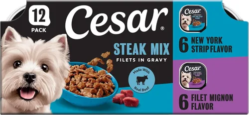 Cesar Gourmet - Comida húmeda para perros, paquete de 12 unidades