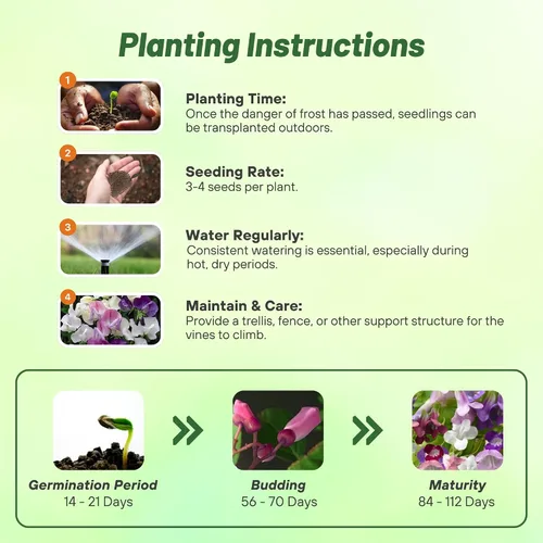 Miniatura 4 de Outsidepride Mix Asarina Climbing Snapdragon Seeds - 100 semillas de flores perennes para plantar, enredaderas trepadoras fáciles de cultivar