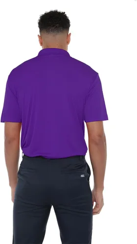 Miniatura 2 de Camisa polo deportiva oficial de la NCAA Collegiate para hombre, colección con logotipo en el pecho izquierdo