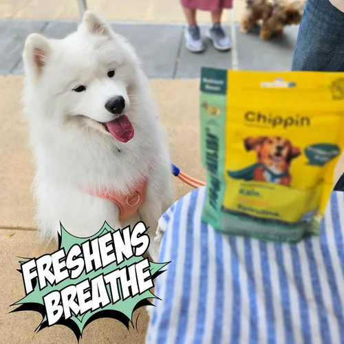 Miniatura 7 de Chippin Golosinas saludables para perros, galletas crujientes totalmente naturales con espirulina real, col rizada, avena, sin carne