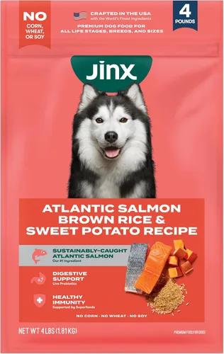 Miniatura 18 de Jinx Comida seca premium para perros de razas pequeñas - Croquetas de salmón real y batata dulce con superalimentos para el apoyo inmunológico