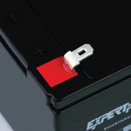 Miniatura 6 de ExpertPower - Baterías para alarma de 12 voltios, Paquete de 1, Negro