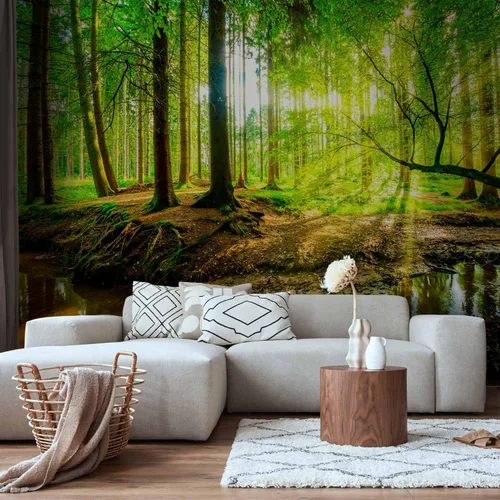 Miniatura 2 de artgeist Mural de pared premium Bosque 138 x 101 pulgadas, papel tapiz fotográfico no tejido, impresión artística, mural de pared de forro polar, #12