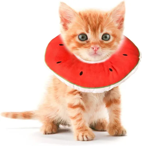 Miniatura 8 de Conos para Gatitos Después de Cirugía 0-6 Meses, Collar de Cono Donut Extra Pequeño para Gatito Suave para Evitar Lamerse el Cuello, Collar