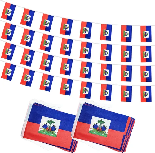 Miniatura 6 de Bandera de Cuerda Argentina de 100 Pies, 76 Piezas Bandera Estandarte Argentina, Pequeñas Mini Banderas del Mundo para Eventos Deportivos