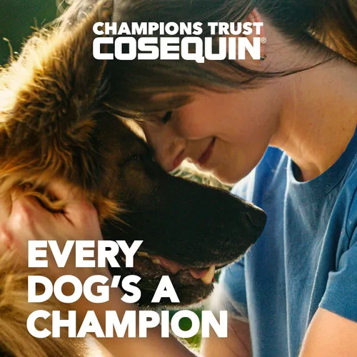 Miniatura 3 de Nutramax Cosequin - Suplemento para la salud de las articulaciones para perros, contiene glucosamina para perros, además de condroitina y MSM, apoya